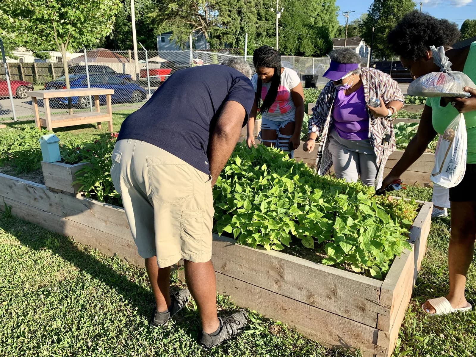 Church members working in raised garden beds full of greens